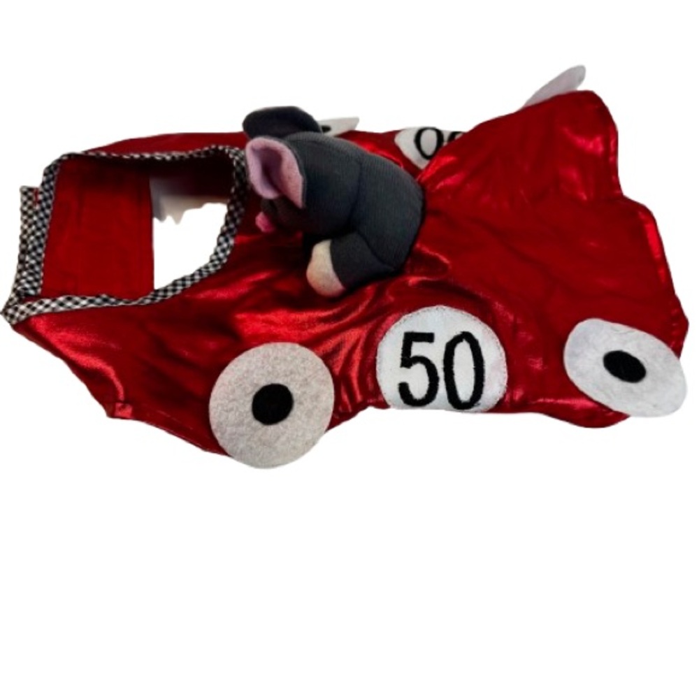 Fast & Curuius Red Racing Car Dog Costume